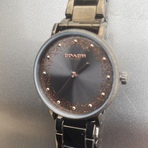 Coach Perry Steel Watch